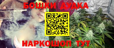 ешки Лесосибирск