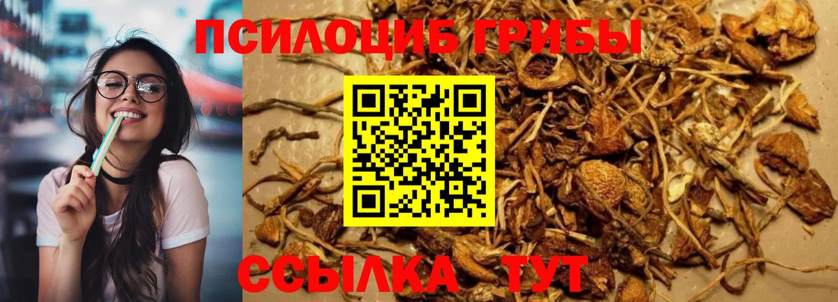 Псилоцибиновые грибы мухоморы  Вход с VPN  Грозный 