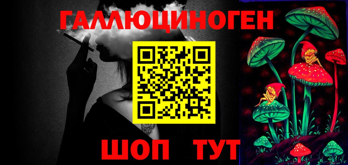 Псилоцибиновые грибы Cubensis Грозный